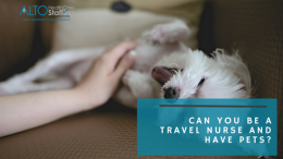 Can You be a Travel Nurse and Have Pets?